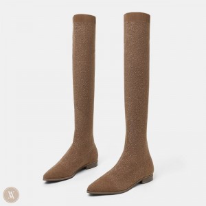 VIVAIA Michaelia Pointed-Toe Laarzen Tot Over De Knie Dames Bruin | CUB-2944