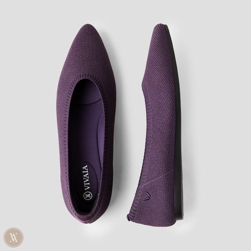 VIVAIA Aria 5° Pointed-Toe Ballerinas Dames Eggplant | JPS-9796